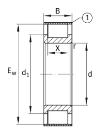 INA full complement roller bearing, no outer ring