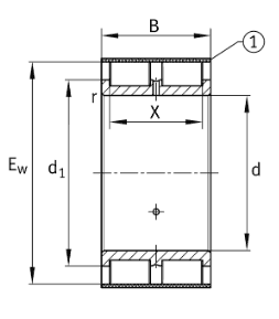 INA full complement roller bearing, no outer ring