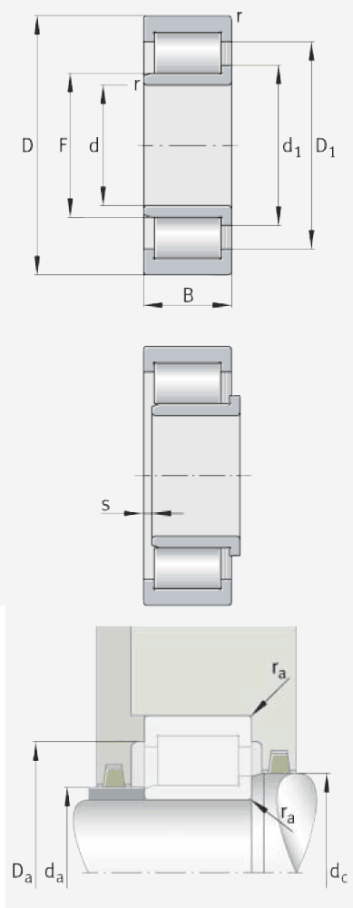 INA full complement cylindrical roller bearings