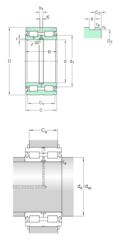 SKF double row full complement cylindrical roller bearing