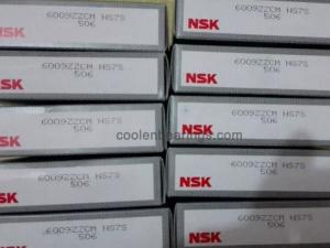 6009ZZCM, NSK, Deep groove ball bearings