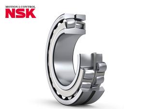 NSK 21306CDE4 bearings