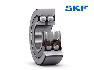 SKF  305702 C-2Z  bearings