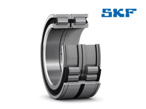 SKF double row full complement cylindrical roller bearing