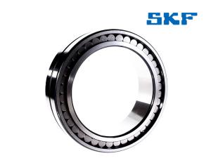 SKF double row full complement cylindrical roller bearing, NNC design