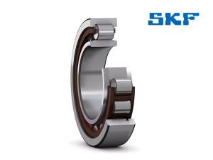 SKF  NU202ECP  bearings