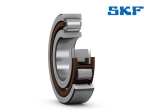 SKF NJ 206 ECP Cylindrical roller bearings